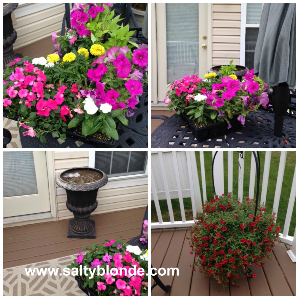 My flowers