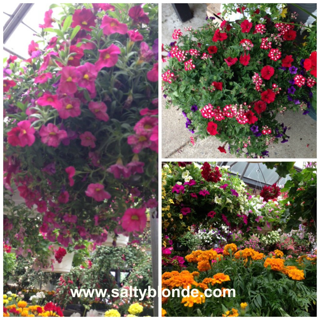 Summer Planter Collage