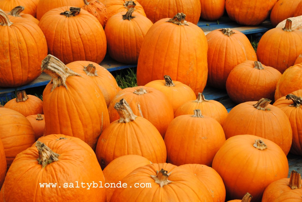 Pumpkins via www.saltyblonde.com