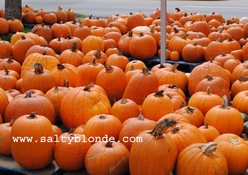 Pumpkins via SaltyBlonde.com