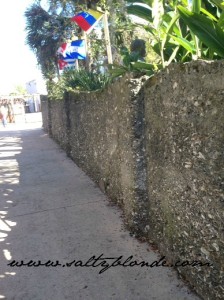 St George St Coquina Wall via saltyblonde.com