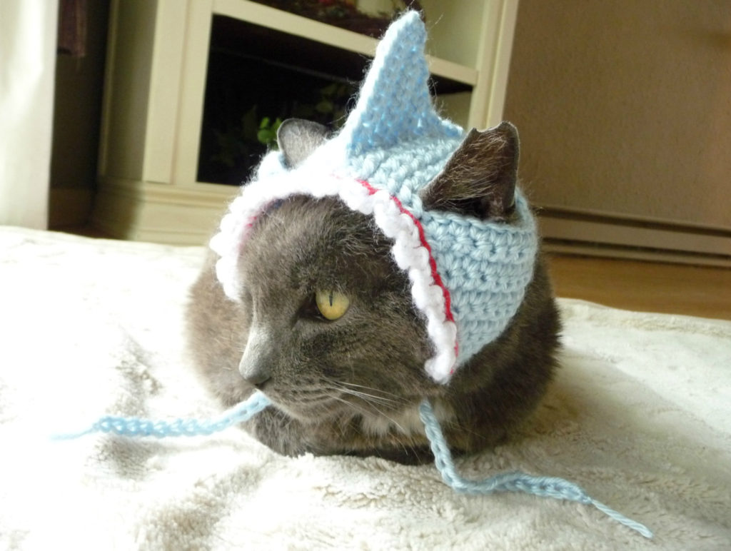 Pet Shark Costume