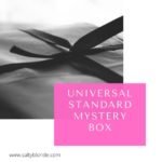Universal Standard Mystery Boxes